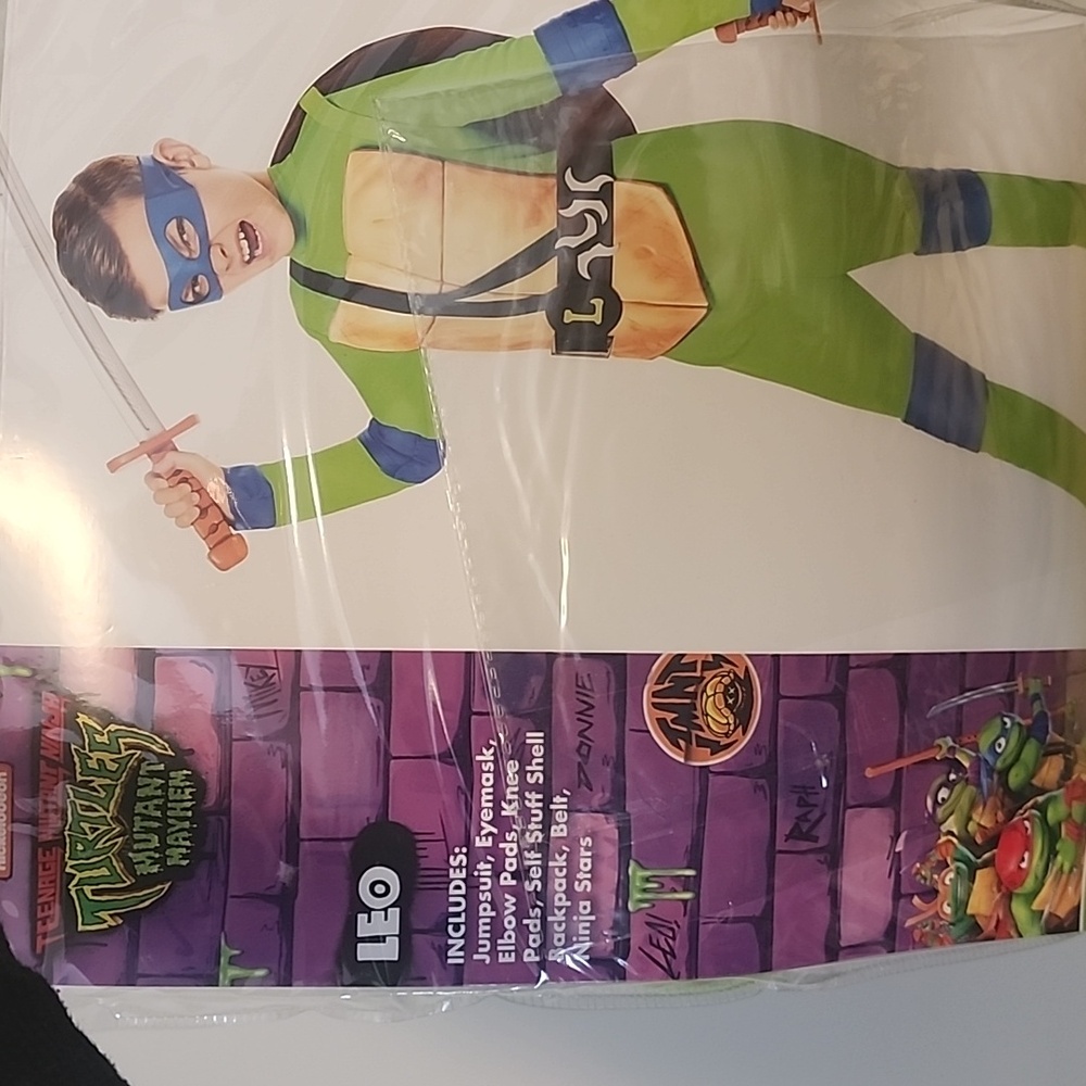 Ninja Turtles Leonardo Kids Costume